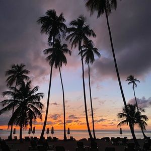 Meet your Posher, Paulina